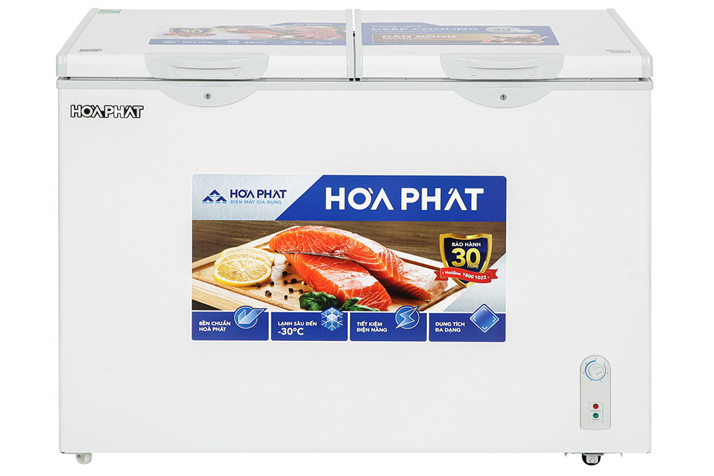 Tủ đông Hòa Phát 245 Lít HPF BD6245